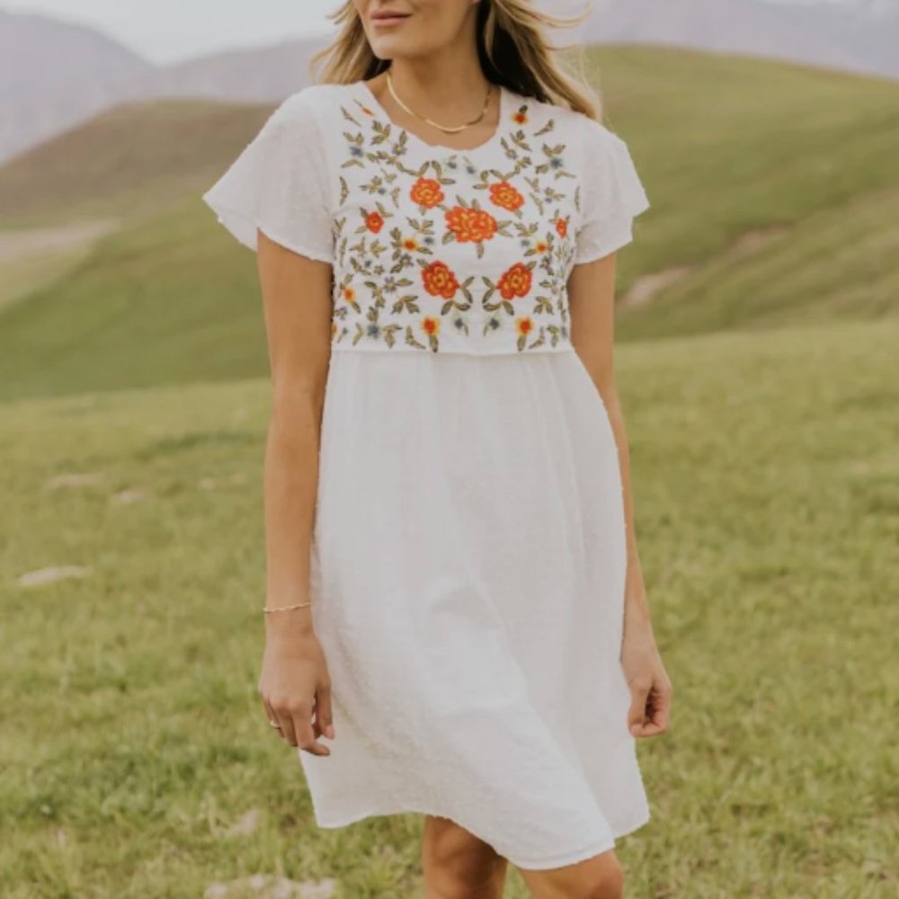Saturday Sun Embroidered Nursing Dress
